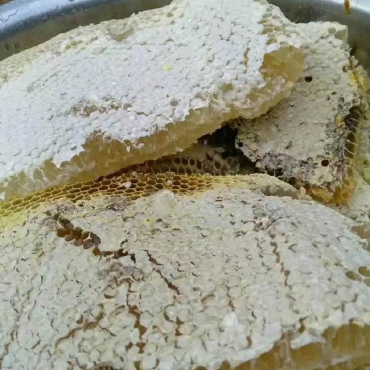 上犹县上犹县五指峰天然土蜂蜜