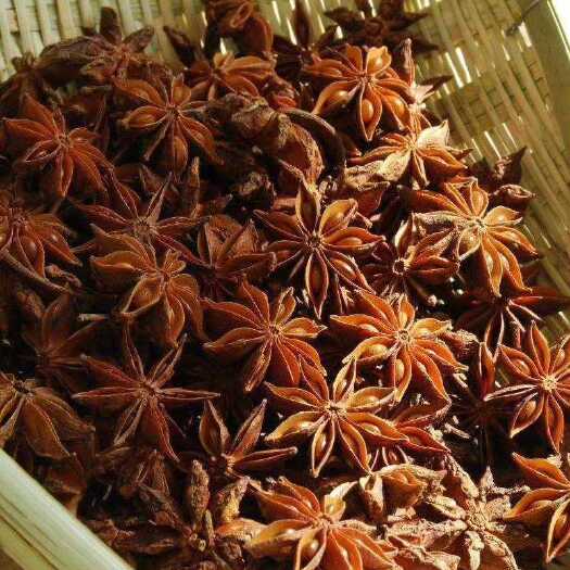 精品大红八角，云南富宁八角，无硫八角，阳光曝晒