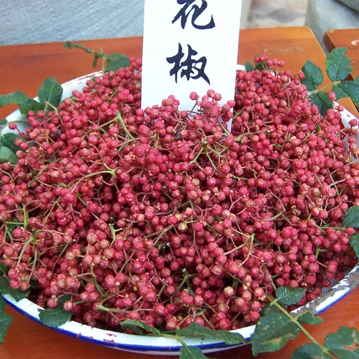 甘谷县 花椒
