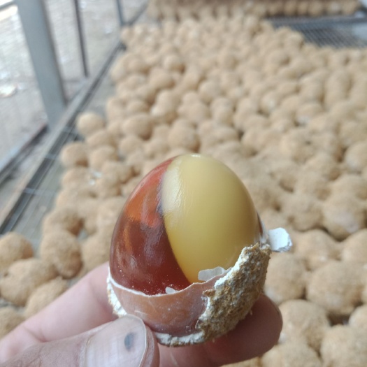杞县 五香变蛋  咸香味俱全