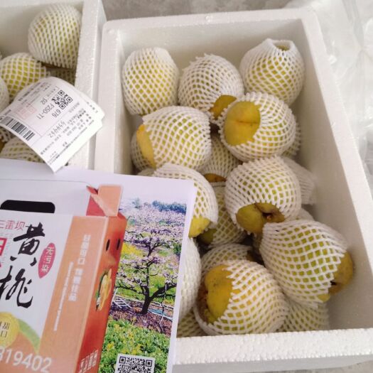 思南县 天上仙桃，相思黄桃
