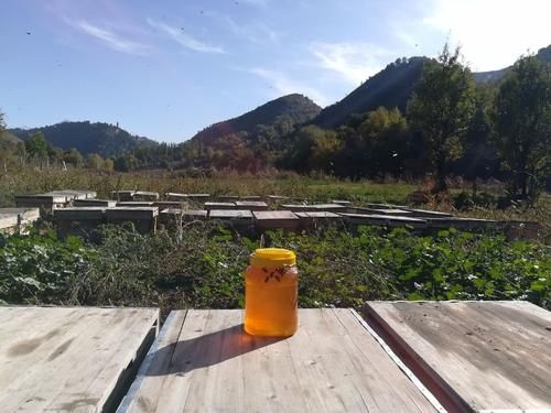 伊宁市 蜂蜜，