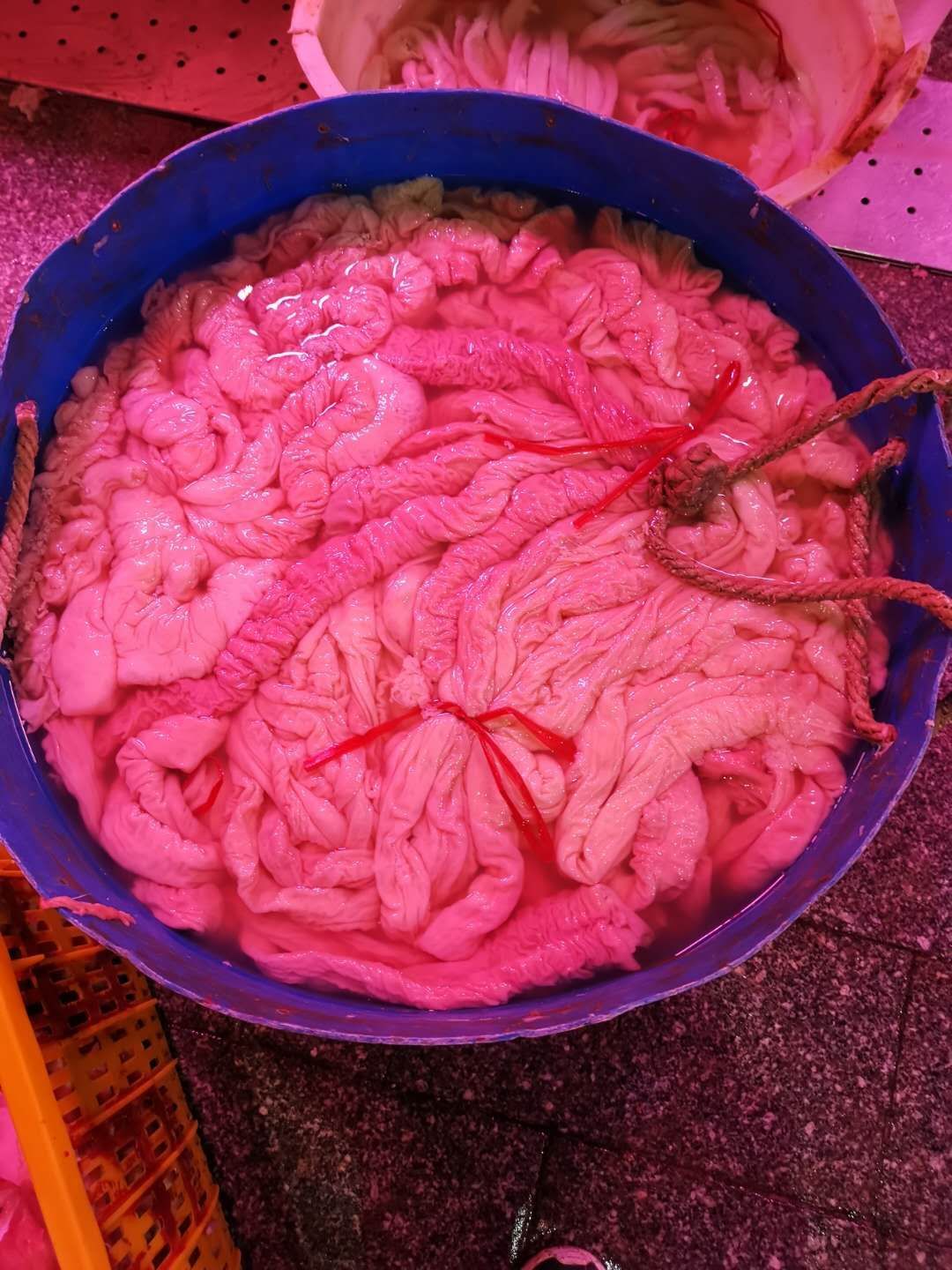 猪肠  新鲜货源充足