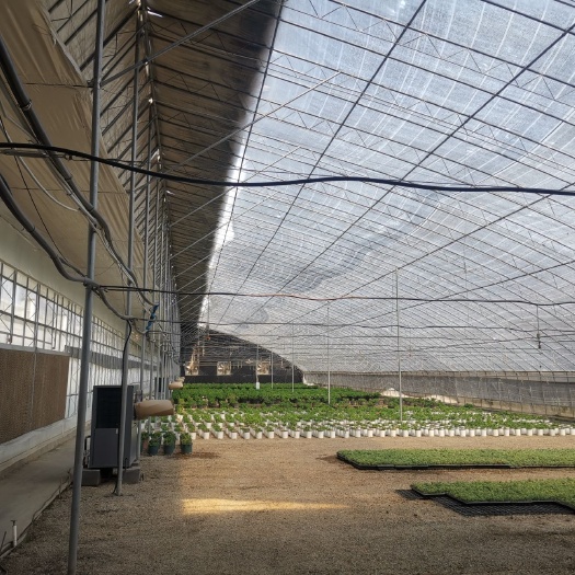 青州市贴片式滴灌带 滴灌带，喷灌带，吊喷水肥一体机