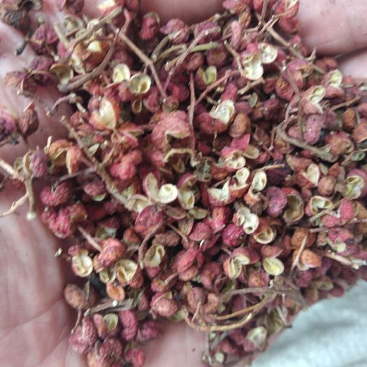 邯郸干花椒，红花椒带枝