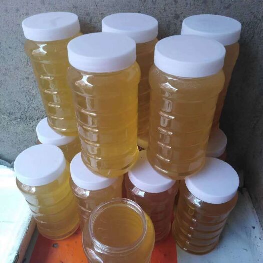 北安市 保真蜂蜜，口感好，