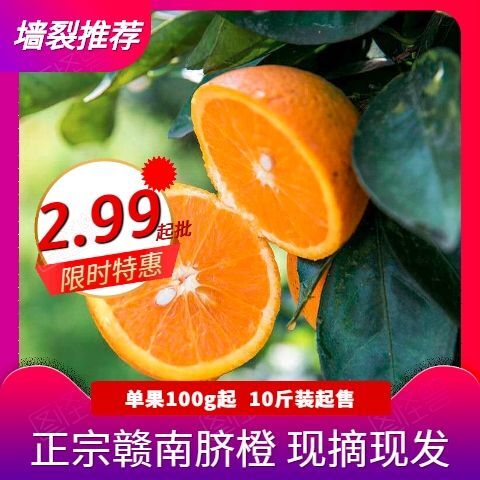 脐橙 【正宗赣南夏橙】10斤江西甜橙子新鲜水果