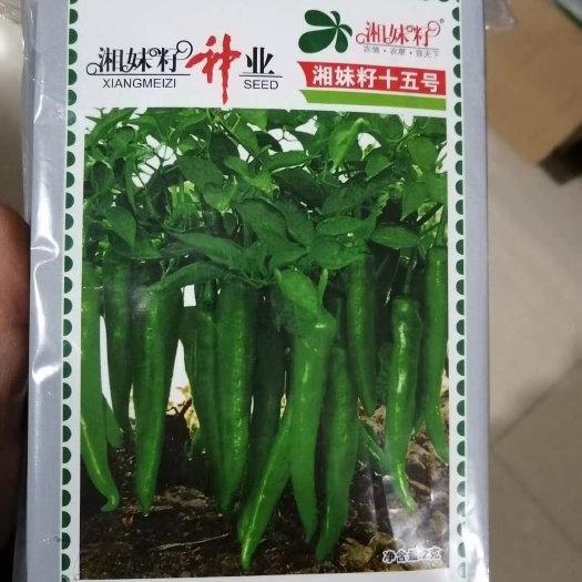 长沙 湖南省湘妹子辣椒种子