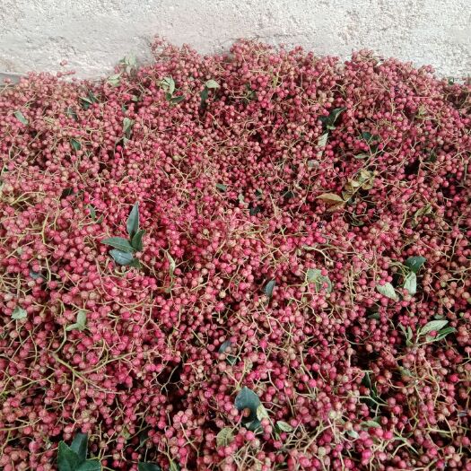 济南 山东花椒（小椒）