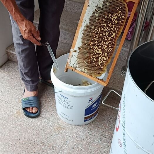 五华县 土蜂蜜