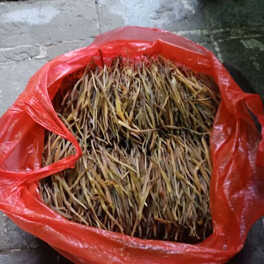 合阳县 产地直销自产熟条黄花菜质量保证无硫，纯手工锅蒸菜