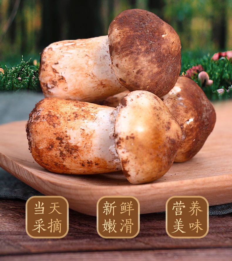 鲜松茸  品农鲜货 现货云南特产新鲜姬松茸出口级松茸