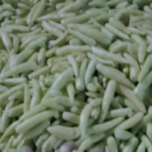 亳州新优泡椒 看质量，比价格