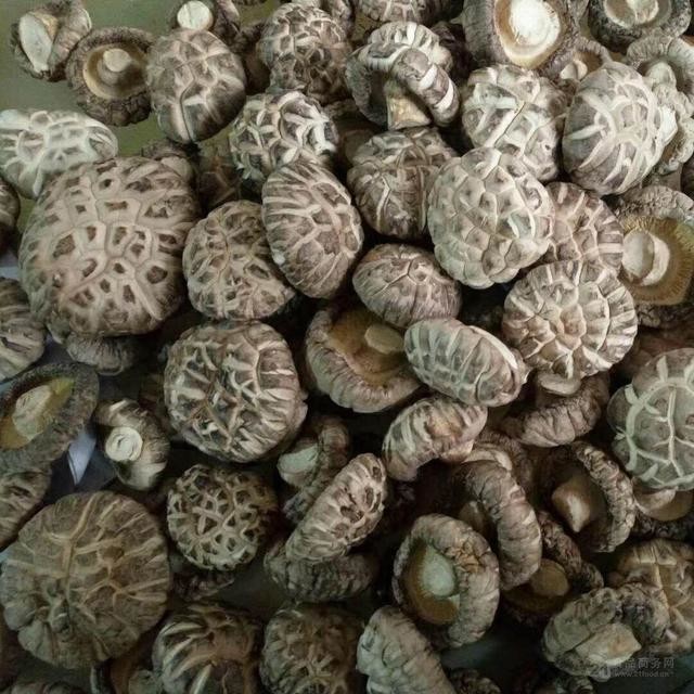 大量供应花菇 各级花菇干货散装批发