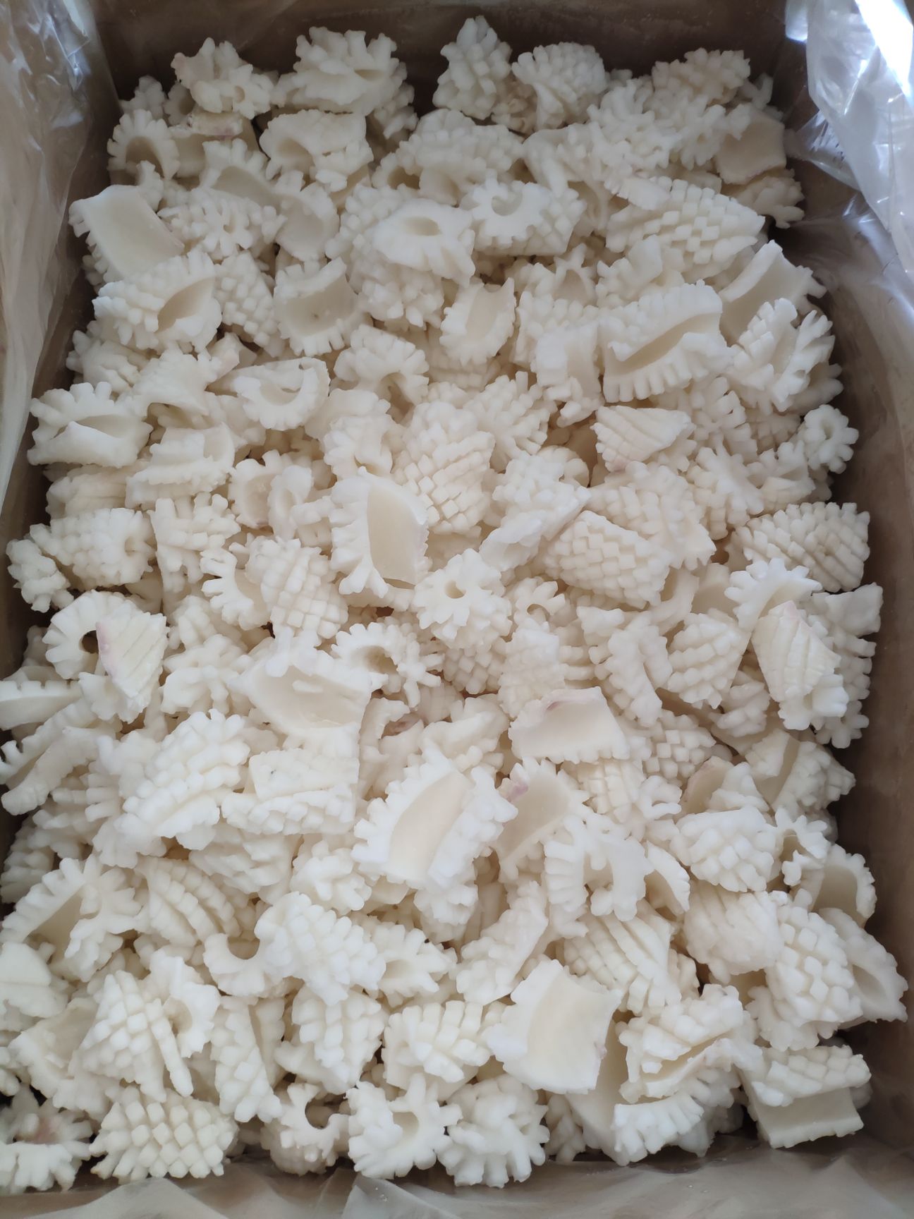 秘鲁鱿鱼  精品鱿鱼残花