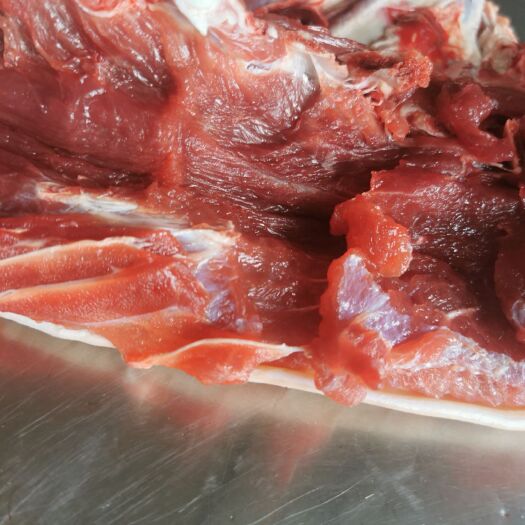 宁津县鲜驴肉，带皮鲜驴肉，现杀的新鲜驴肉。驴肉