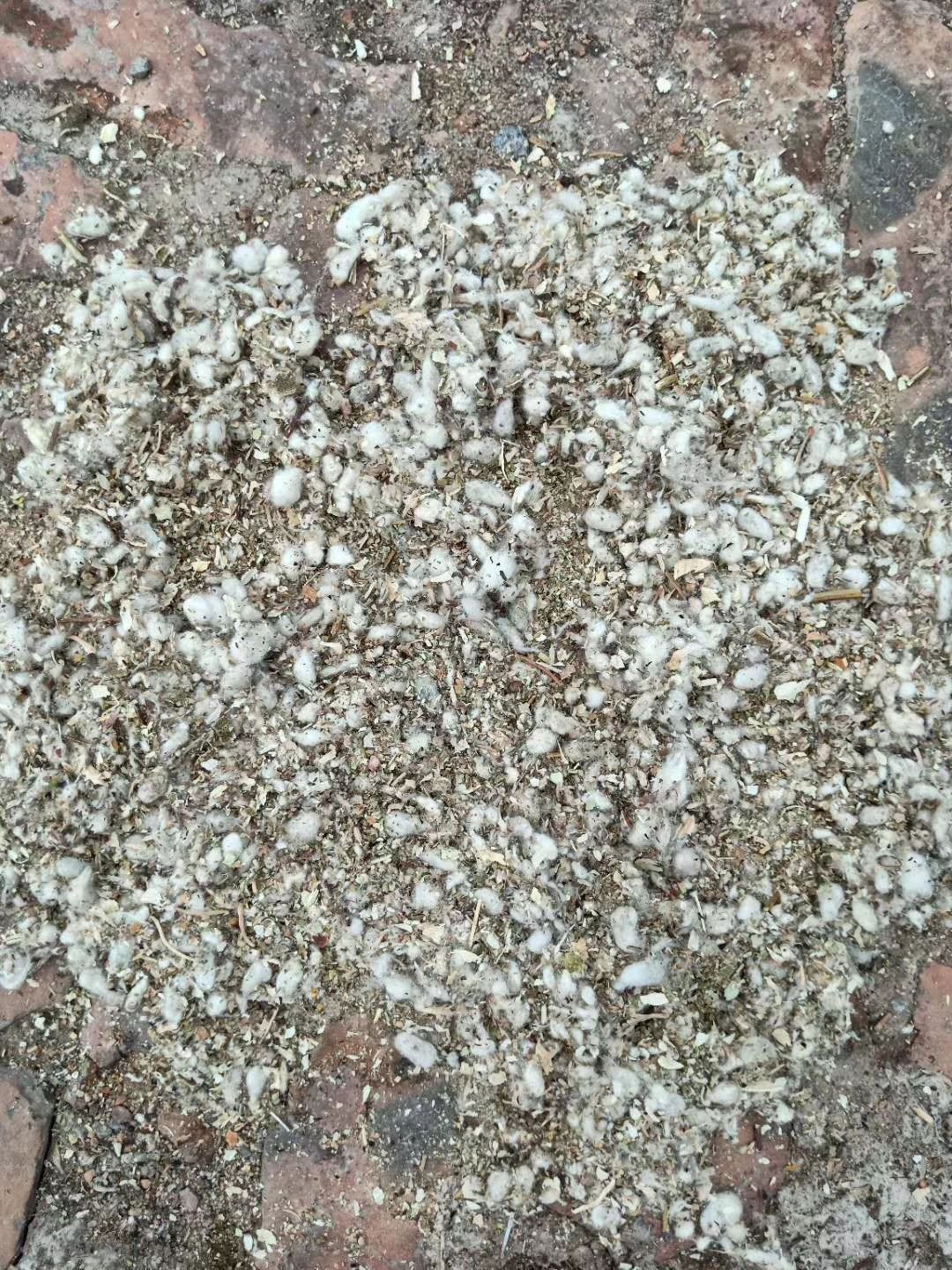 重庆四川贵州大片麸皮稻草麦秆，棉籽壳棉渣甜菜粕玉米芯颗粒