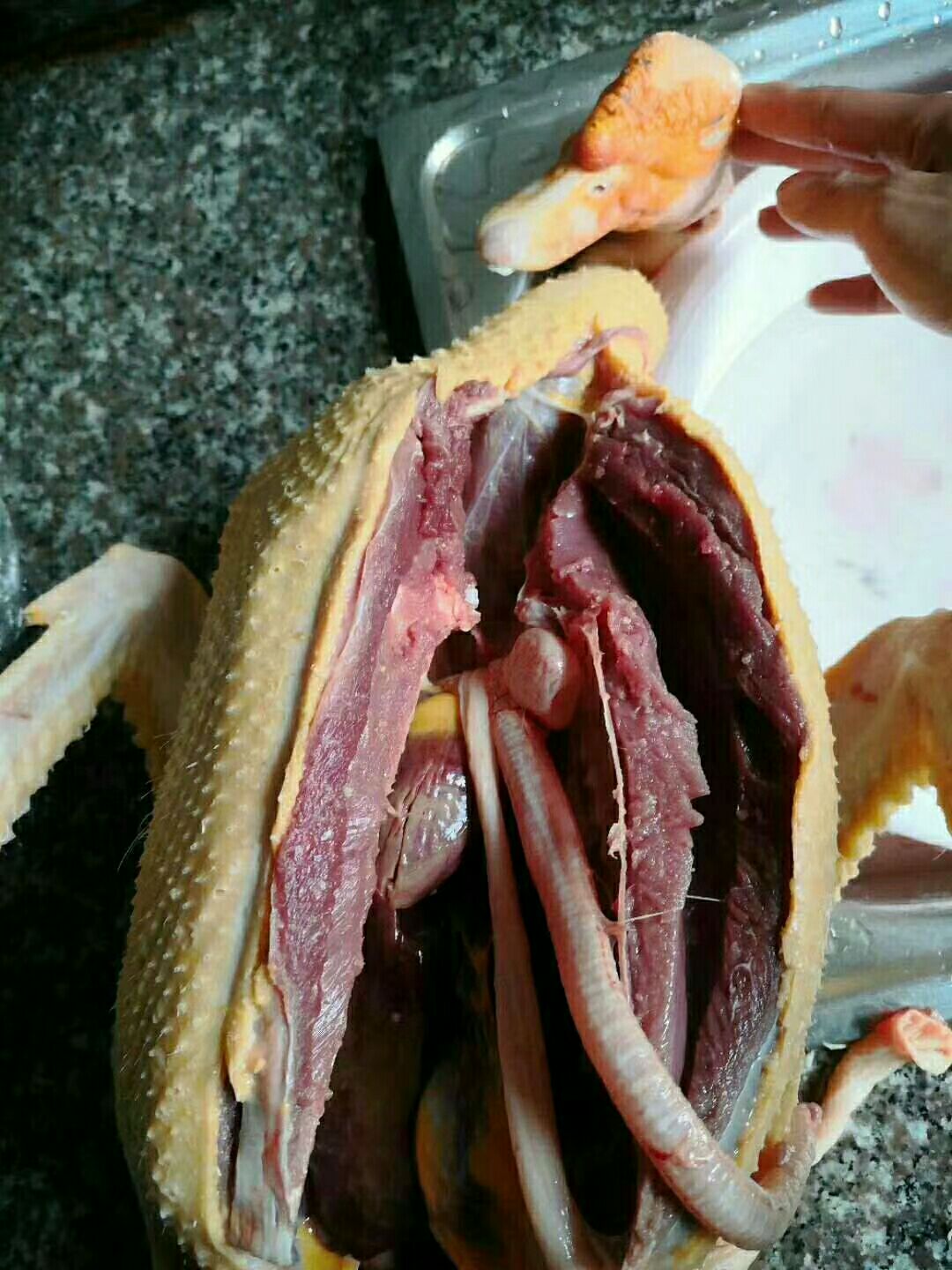 白番鸭 哪位老板看上请联系