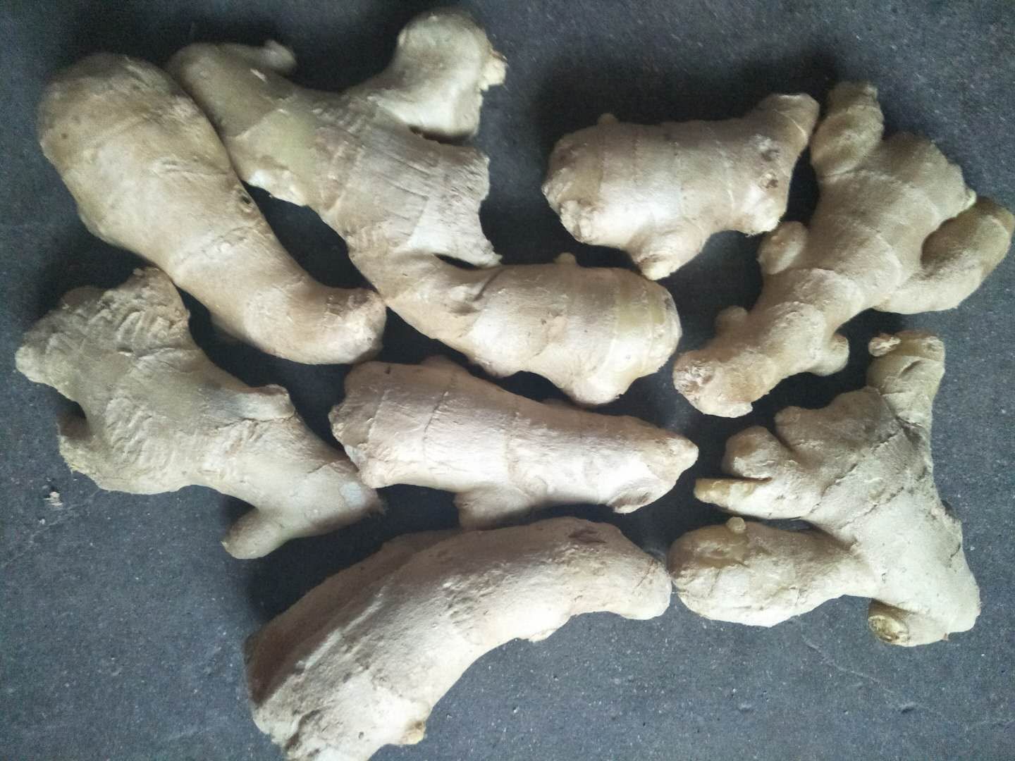 姜母  姜头  姜把大黄姜把 小黄姜把