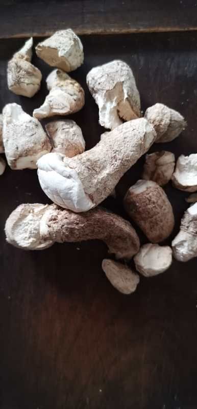随县香菇脚 高品质菇脚，双剪！