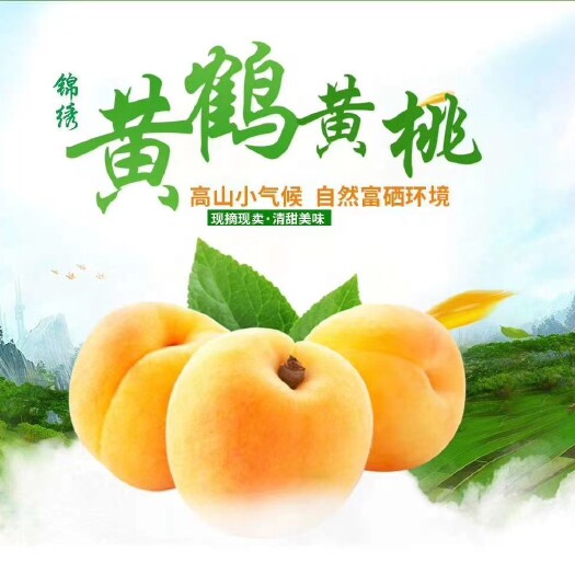 宁乡市 锦绣黄鹤黄桃