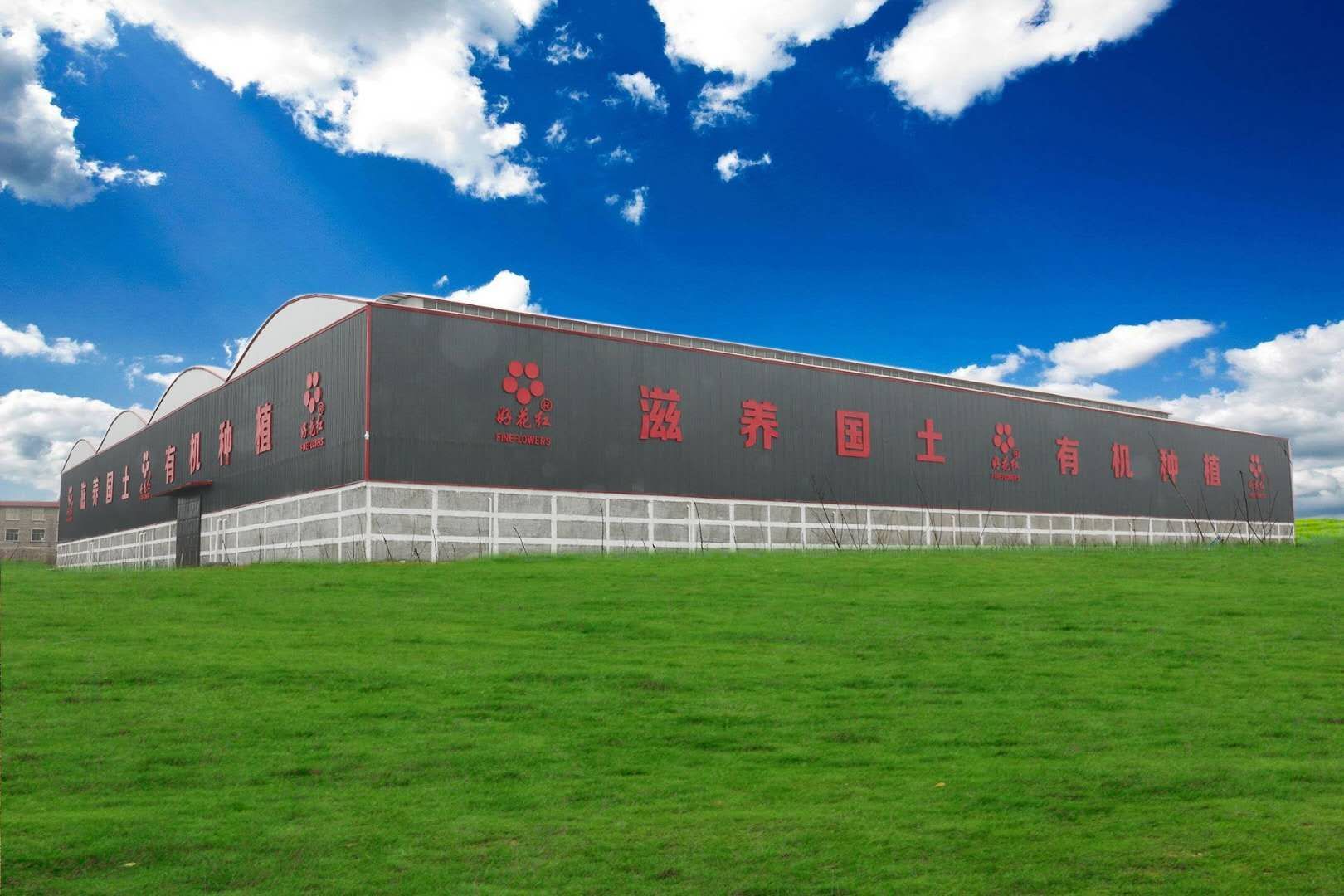 有机肥料 滋养国土  有机种植   26年铸就的品牌   田间地头的六