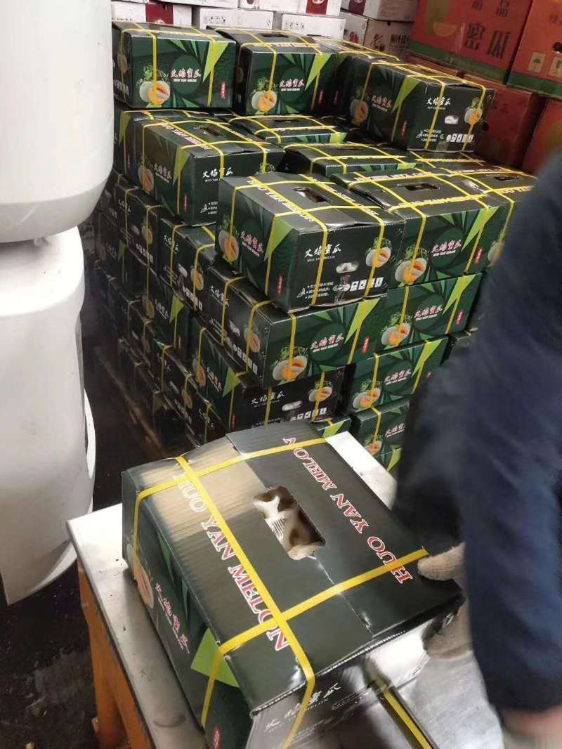 网纹瓜  哈密瓜