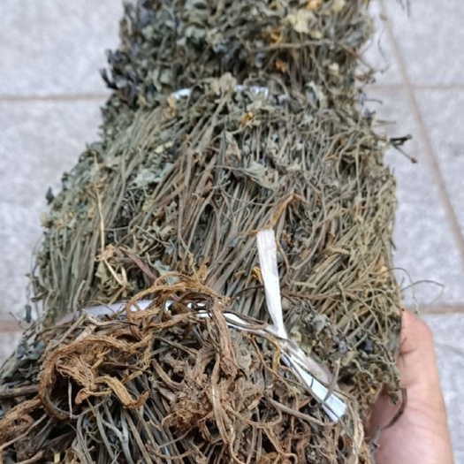 广西生药材岩黄连新货流通岩黄莲干岩胡 岩连可代购中草药