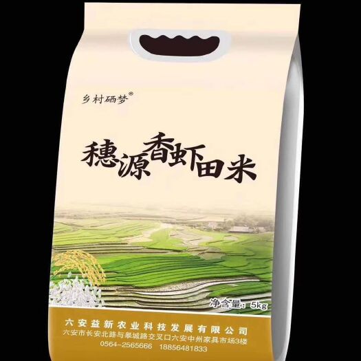 六安富硒大米 一等品 晚稻 籼米