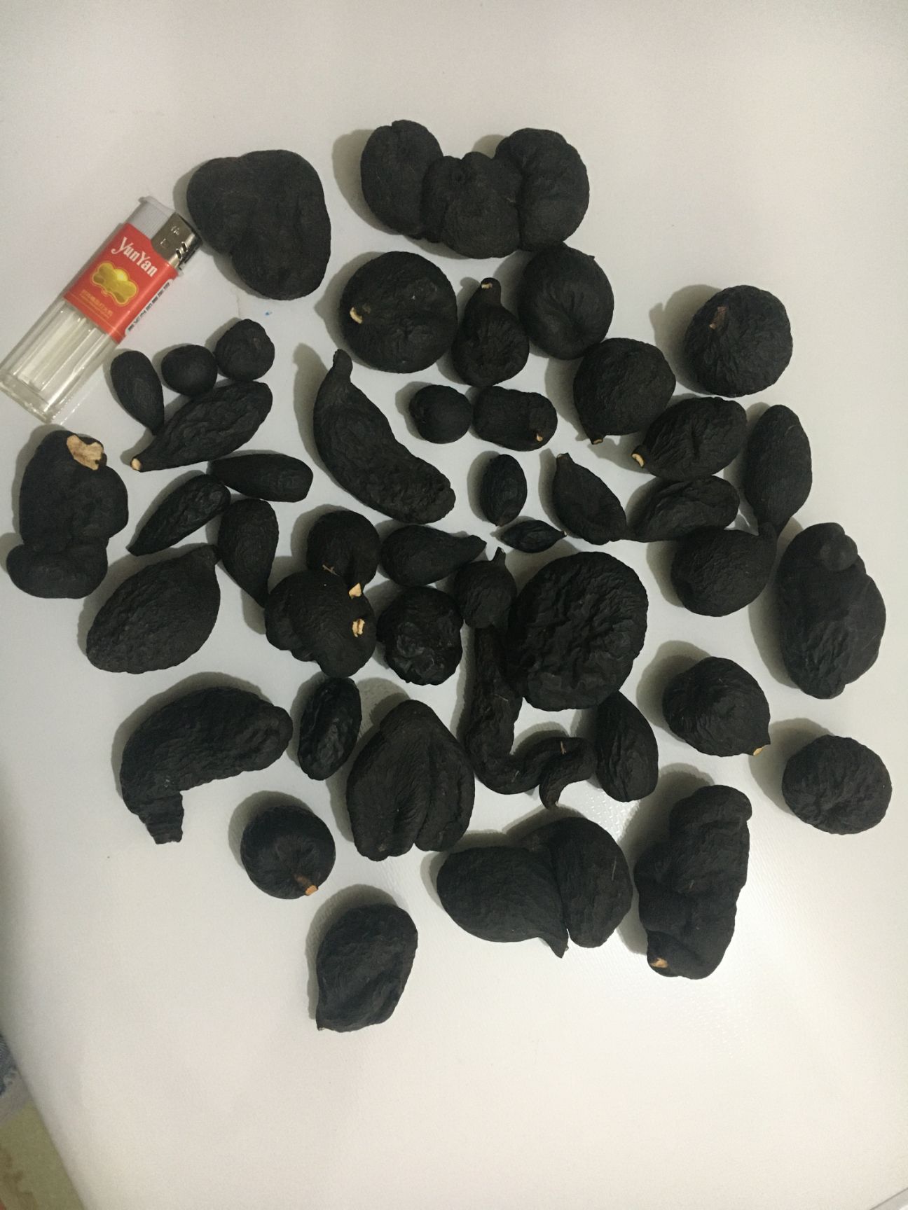 大量供应乌灵参 一手货源