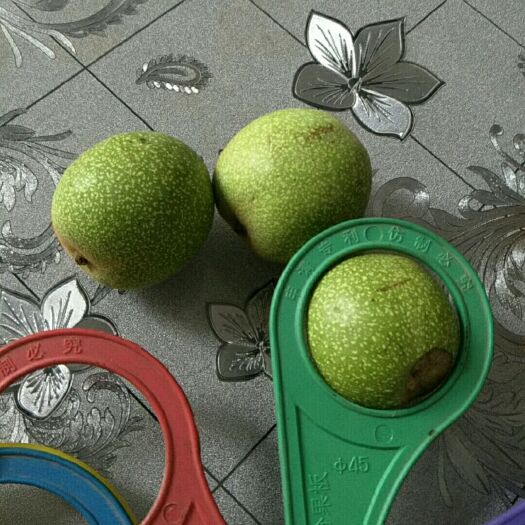 绛县 精品青皮核桃