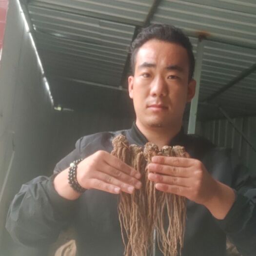 岷县 岷当归，今年新货，有需要的老板可以联系，长期合作