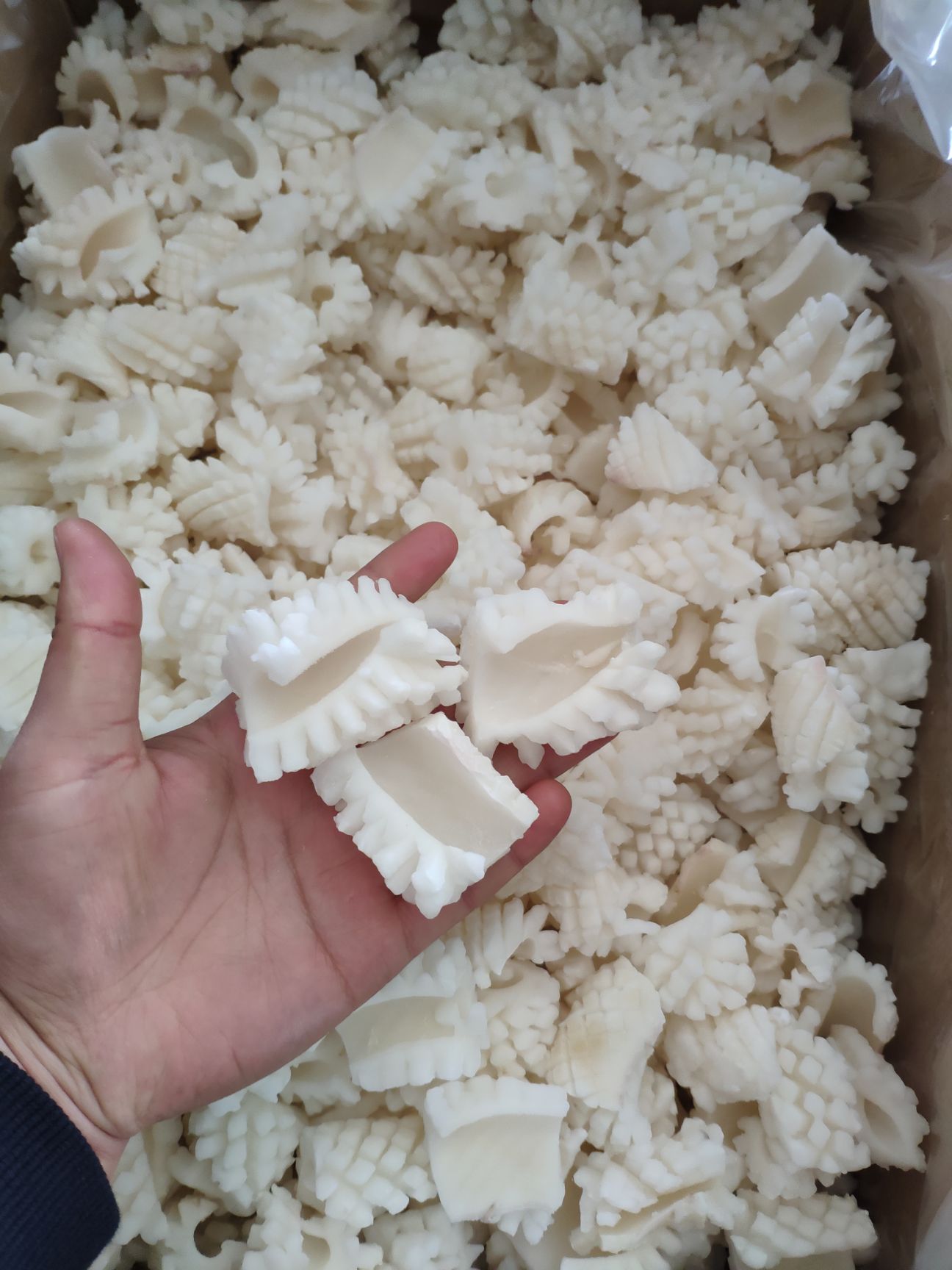 秘鲁鱿鱼  精品鱿鱼残花