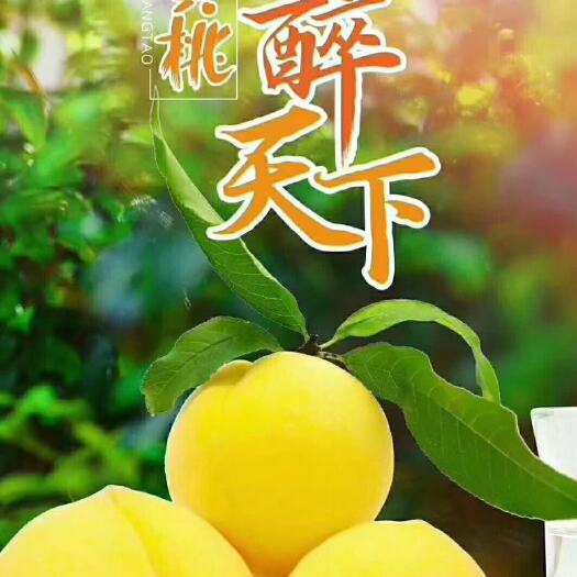 遂川县 自家的炎陵黄桃果园开园了，需要的可以来下单或者咨询哦
