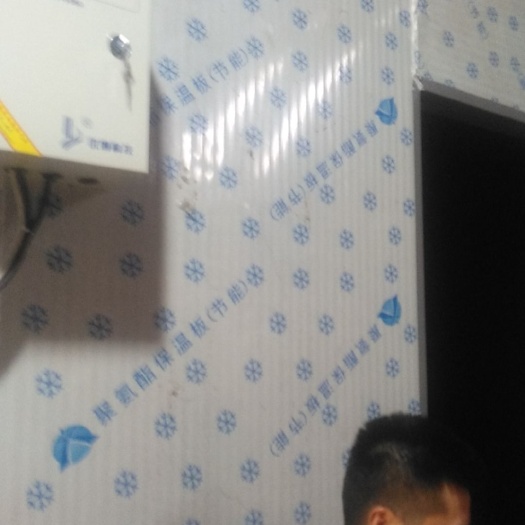 诏安县 黑鸡枞菌