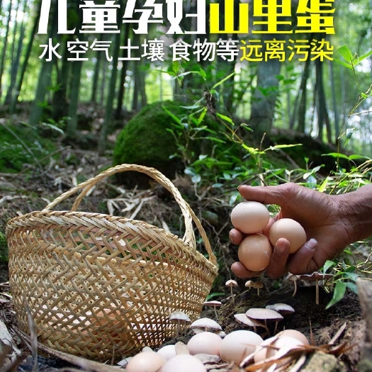 长沙 农家土鸡蛋