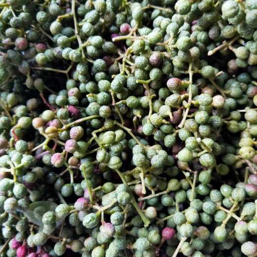 商城县青花椒鲜花椒天然花椒干货鲜货2023