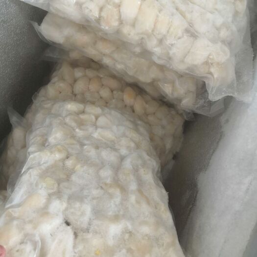 乌龟蛋 好吃的特种龟，蛋蛋经过加工处理的，只需要去冰就好，省事方便。