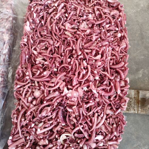 荣成市秘鲁鱿鱼  鱿鱼碎渣 打浆佳品