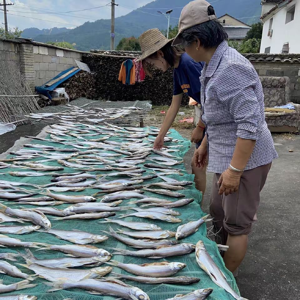  安徽黄山太平湖咸鱼干