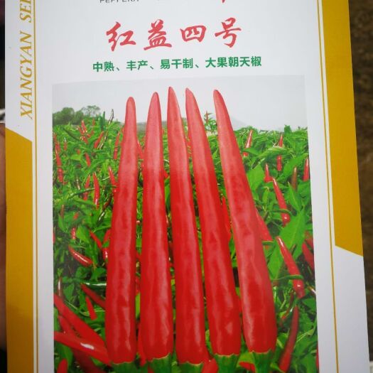 秀山辣椒王 红益四号朝天椒