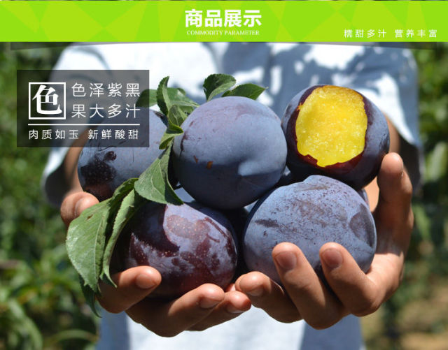 白水县黑布林 晨飞果业
