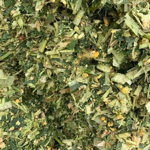 滦南县 全珠青储草，玉米秸秆青储，
