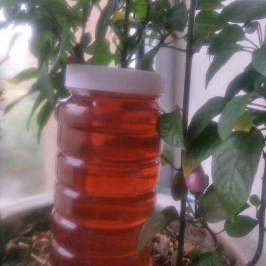 梅河口市 蜂蜜 椴树蜜 百花蜜 等各种蜂蜜