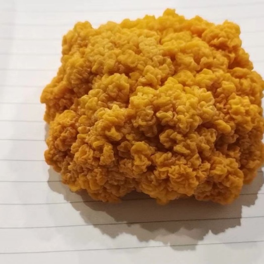 长丰县食用菌，蘑菇，鲜蘑菇，金耳 基地直供一手货源