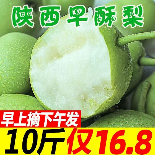 广州 【包赔付】现摘陕西早酥梨应季整箱批发3/5/10斤装新一件代