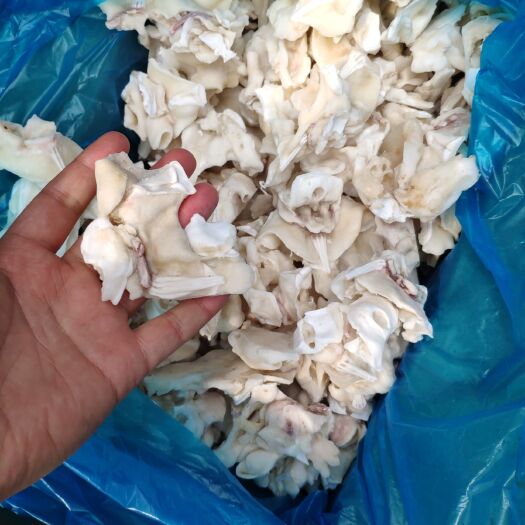 荣成市秘鲁鱿鱼  单冻鱿鱼脖