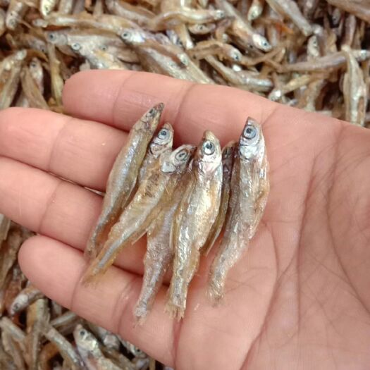都昌县小鱼干 油炸小白肖3-5公分不开肚白肖干度好颜色靓