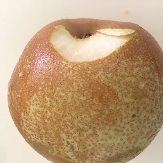 广州 【广州现货】广西天等桂花梨甩卖
