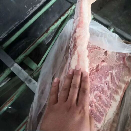 临沂五花肉 一级带皮大五花